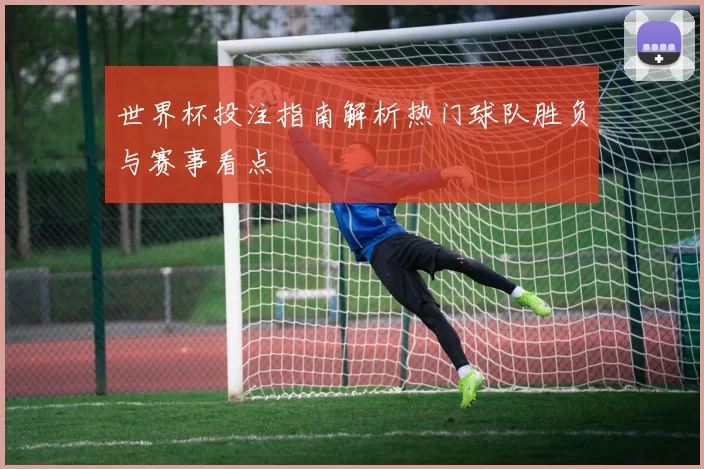世界杯投注指南解析热门球队胜负与赛事看点